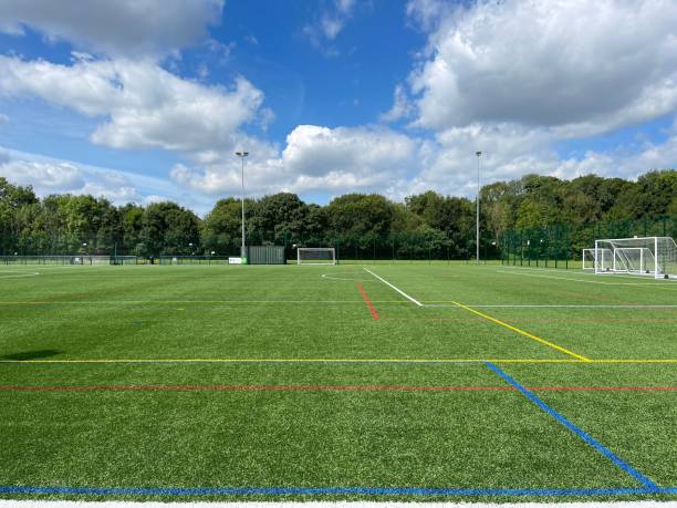 istock Artificial football field with colorful lines and nets 1438904717