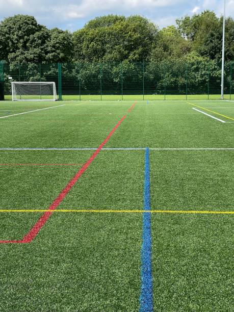 istock Artificial football field with colorful lines and nets, vertical shot 1438904720
