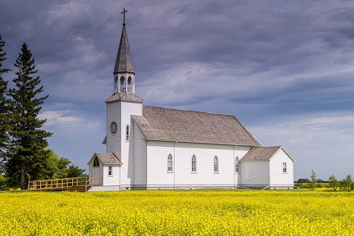 Notre Dame De Lourdes Pictures Download Free Images on Unsplash