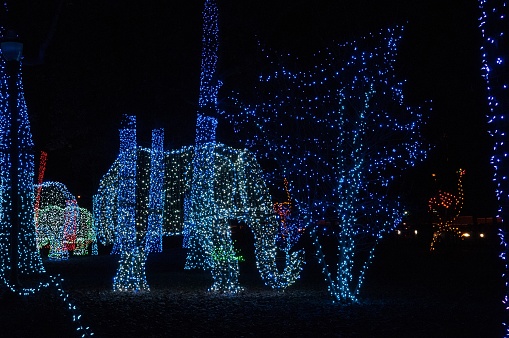 Christmas lights at the Detroit Zoo