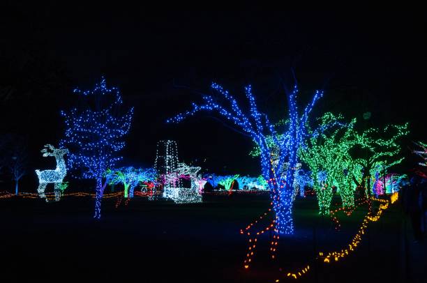 istock Christmas lights at Detroit Zoo 11/24/2017 1438905131