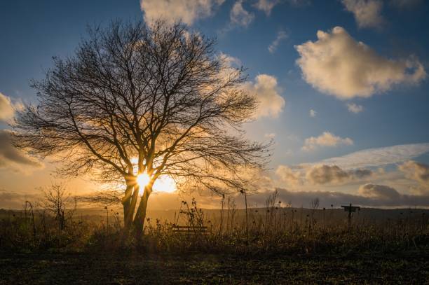 istock after work mood in the odenwald 1438905882