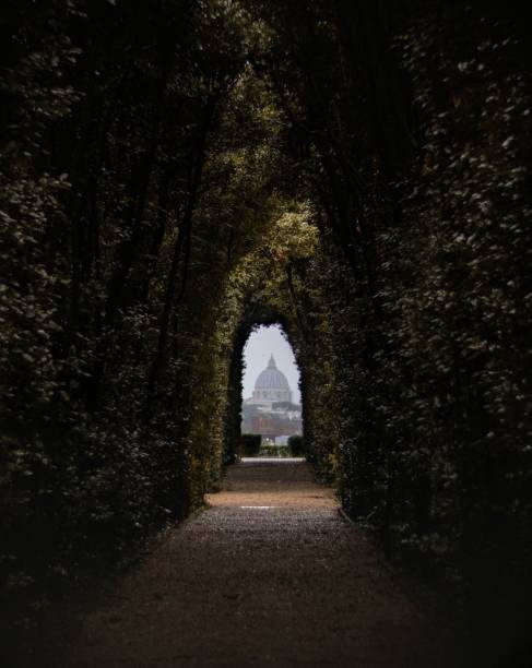 istock Pathway surrounded by trees under sunlight with a building on the blurry background 1438906179