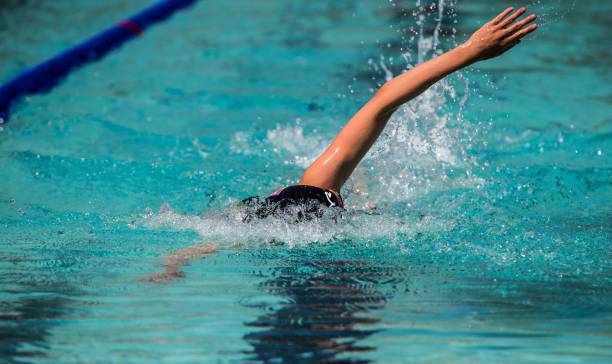 istock Swimmer in the pool during a swimming competition 1438907410