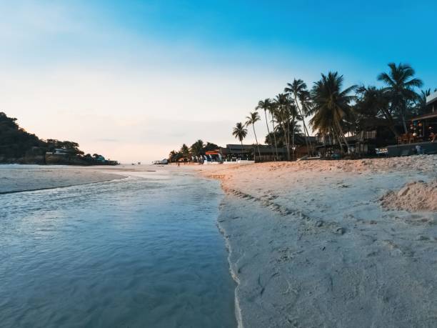 istock Tropical resort with trees and white beach sand. 1438907525