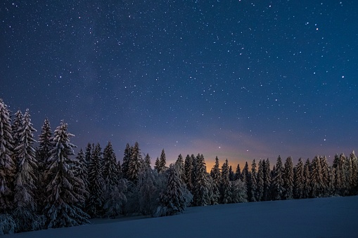 A landscape of a forest covered in trees and snow under a starry sky in the night