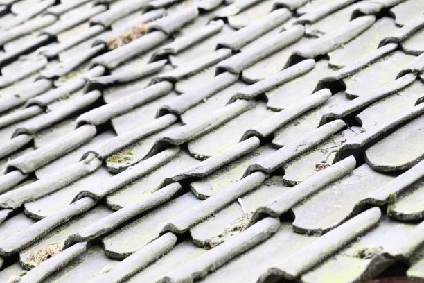 istock Selective focus shot of an old tiled roof 1438909162
