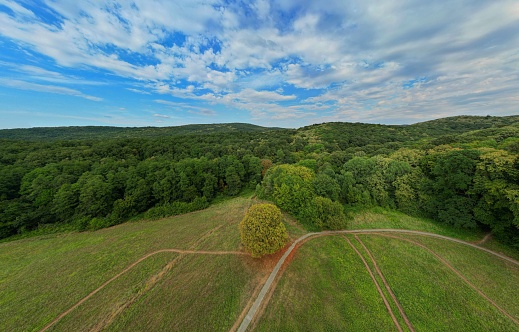 Aerial drone photo of farm fields and crossroads in countryside near Dunnellon, Florida.