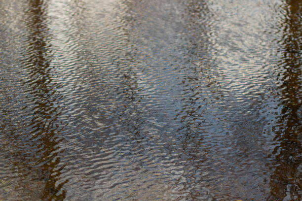 istock Waves on water. Wind on surface of water. Reflection in puddle. 1438912066