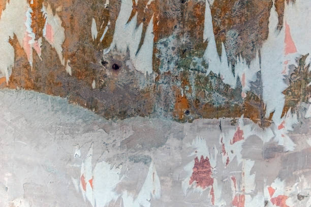 Vintage grunge shabby old wall texture with mold and pieces of torn off wallpaper stock photo
