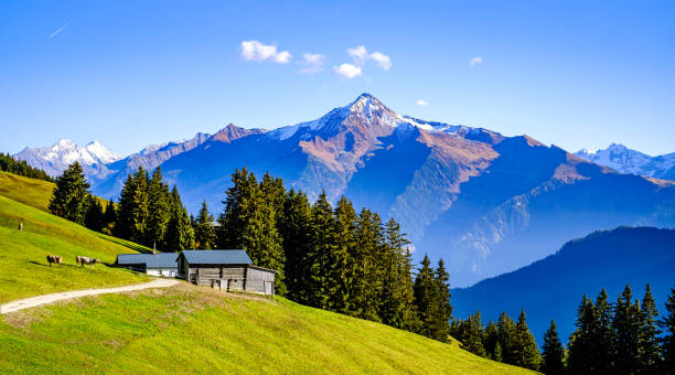 istock landscape at the Zillertal valley in austria 1438913676