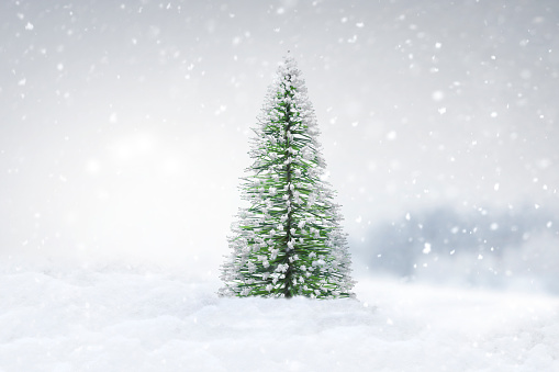 Christmas tree in snow landscape during snowfall