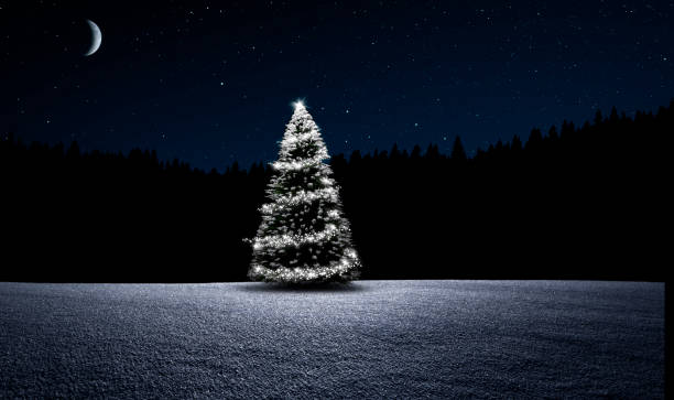 istock Christmas tree in snowy landscape at night 1438916379