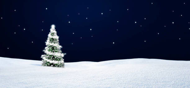 istock Christmas tree in snowy landscape at night 1438918061