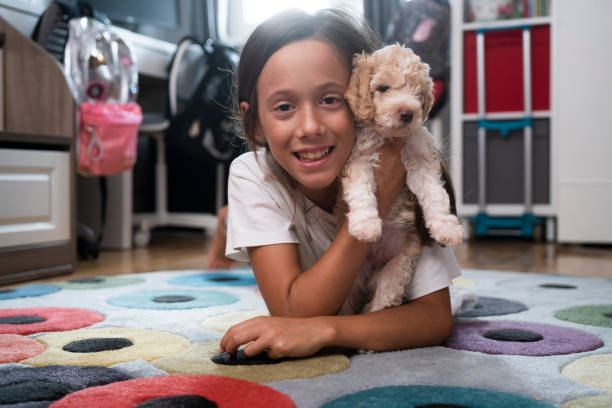 istock Cute girl embracing her new pet 1438920191