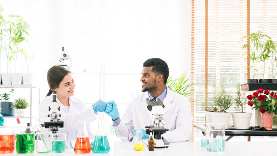 Portraits of a diversity of African and middle east scientists smile with good collaboration in a research laboratory. Group of chemistry students working on hemp plant and Marijuana research.