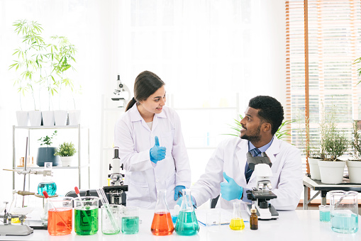 Portraits of a diversity of African and middle east scientists smile with good collaboration in a research laboratory. Group of chemistry students working on hemp plant and Marijuana research.