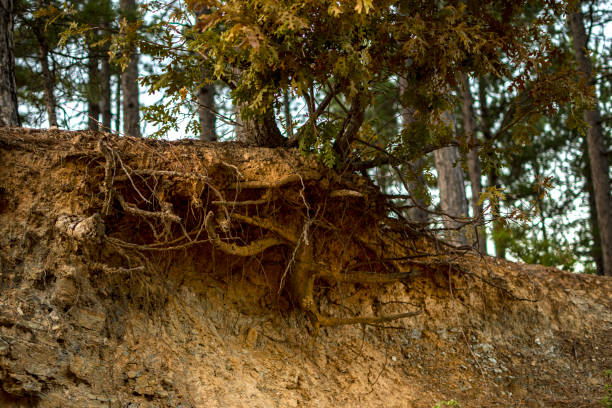 istock Erosion and naturee 1438922002