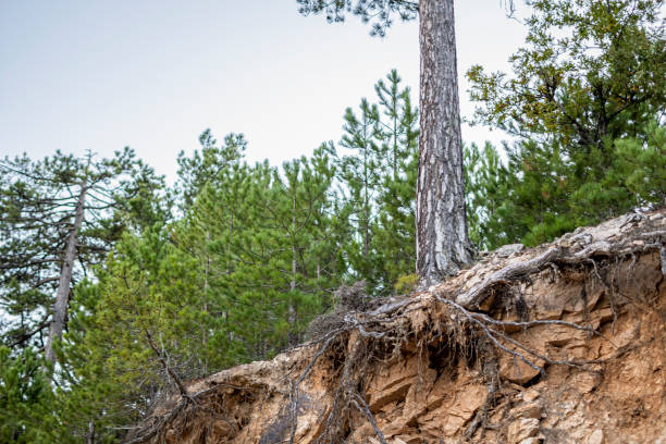 istock Erosion and nature 1438922671