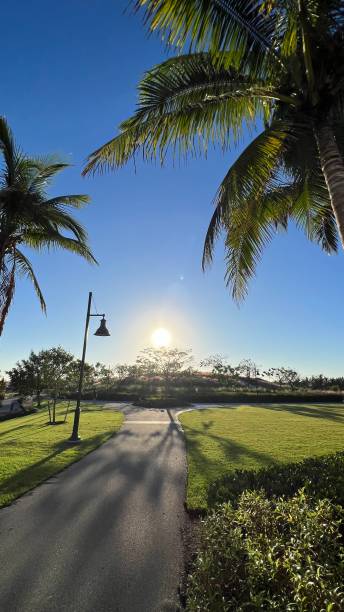 istock THE SUN RISES AND A NEW DAY BEGINS 1438923402
