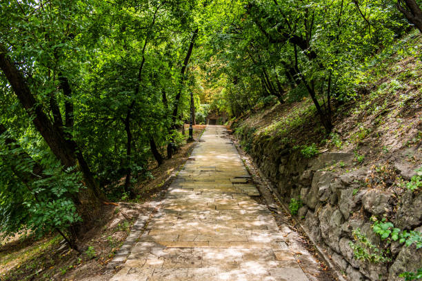 istock Concrete road in forest in Budapest. 1438923427