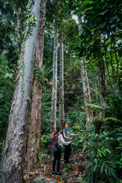 istock Image of two Asian female hiker with backpack walking in the rainforest. 1438924145