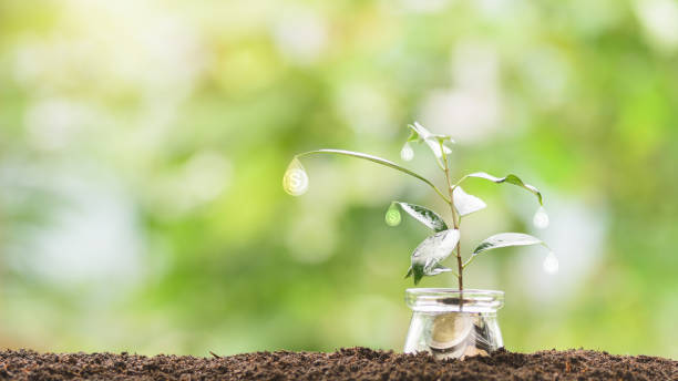 istock Growing tree in a jar, coin holder, growth concept. from saving money, 1438924782