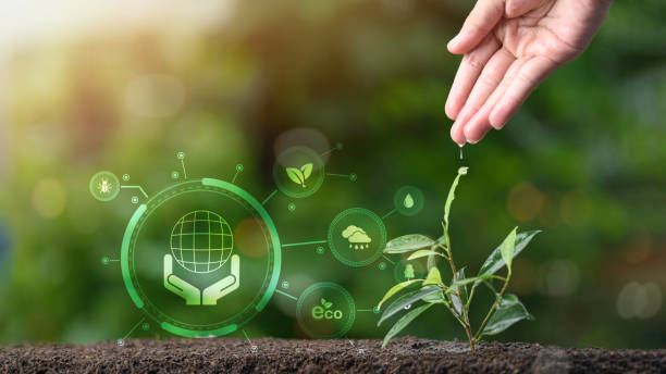 istock Human hand and seedling, nature background, concept planting trees, saving world,protecting the environment ,alternative energy ,Green energy innovation and environmentally friendly energy technology 1438924795