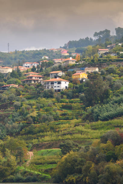 istock Douro Valley in Portugal 1438925818