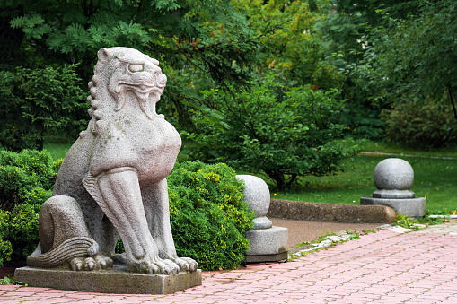 Yuzhno-Sakhalinsk, Russia - August 05, 2022: traditional Japanese statue of a stone lion at the entrance to the Sakhalin Museum of Local Lore