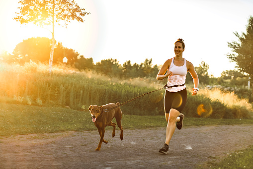 A runner and dog on field under golden sunset sky in evening time.