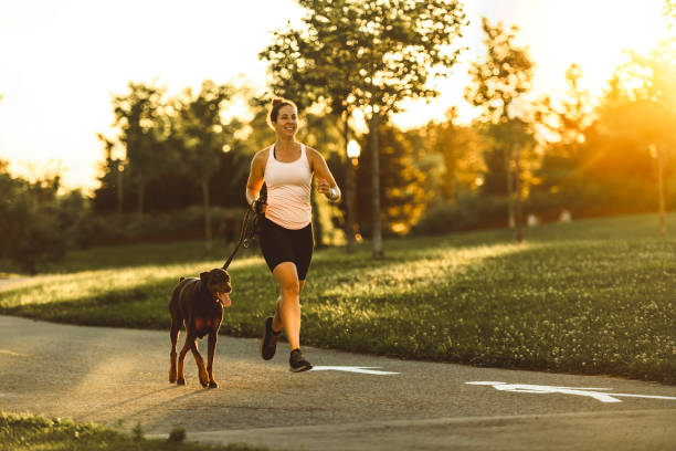 istock runner and dog on field under golden sunset sky in evening time. 1438926362