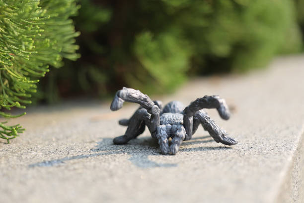 istock a big scale toy spide on the outdoor 1438931473
