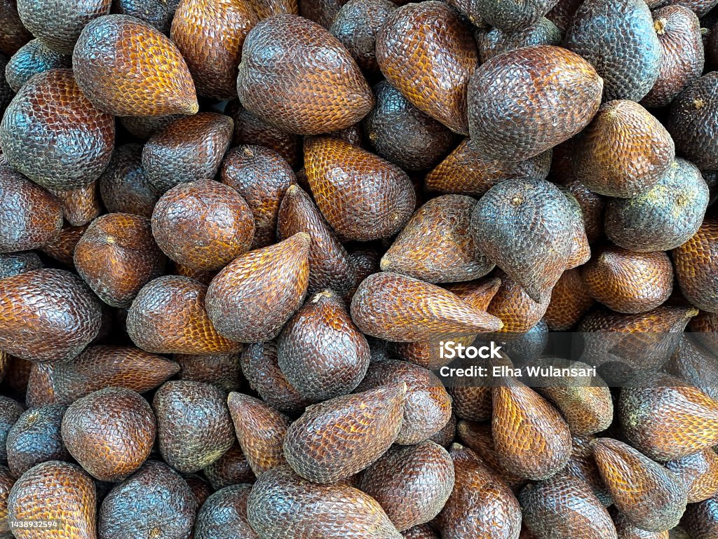 collection of brown salak pondoh fruits scaly like sweet snakes some fruits put on wooden table on natural background for sale in fruit shop collection of brown salak pondoh fruits scaly like sweet snakes, some fruits put on wooden table on natural background for sale in fruit shop Agriculture Stock Photo