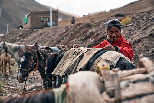Leh, India, August 12th, 2022: Local man preparing his horses