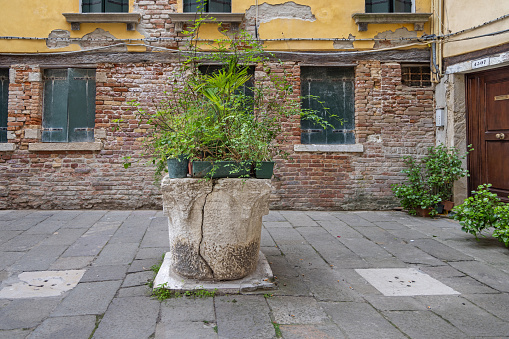 Venice, Italy - October 10th 2022:  Old marble well decorated with green potted plant on a public square in the center of the old and famous Italian city Venice