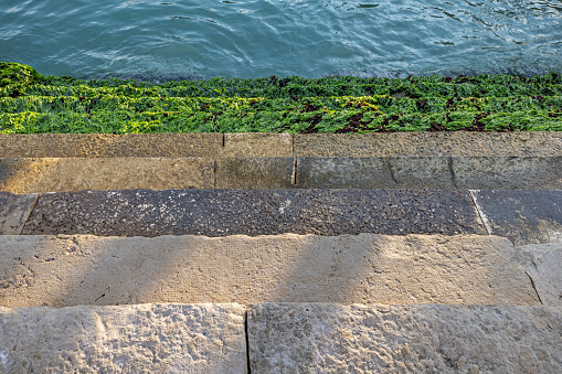 Steps covered with slippery seaweed at the side of a canal at low tide in the center of the old and famous Italian city Venice