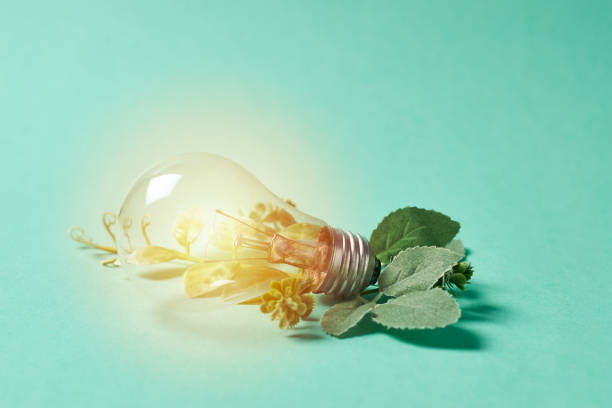 Light bulb with plants, green electricity concept, renewable energy, sustainability.