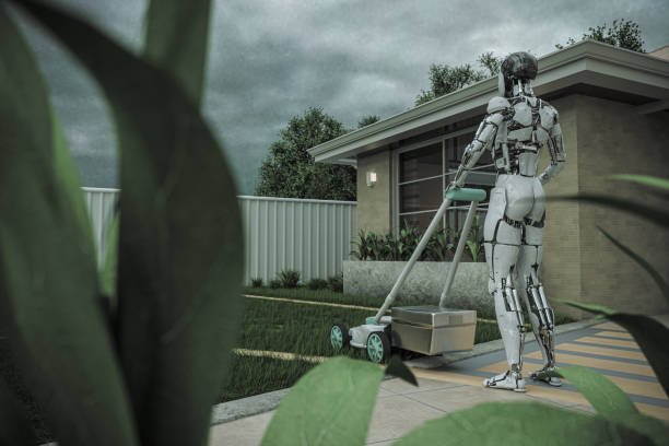istock Robot do weeding work in front of the house 1438942187