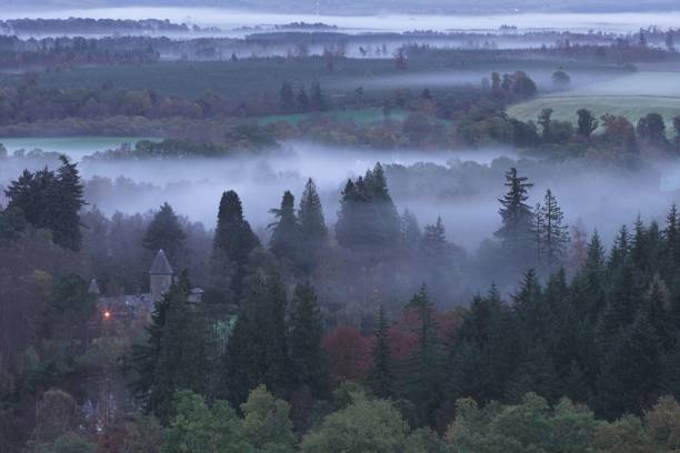 туман, плещущийся вокруг деревьев, холм бирнам, осень - inversion layer стоковые фото и изображения