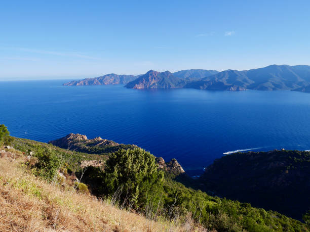 vue aérienne du golfe de porto. calanches de piana, corse, france. - perfect day photos et images de collection