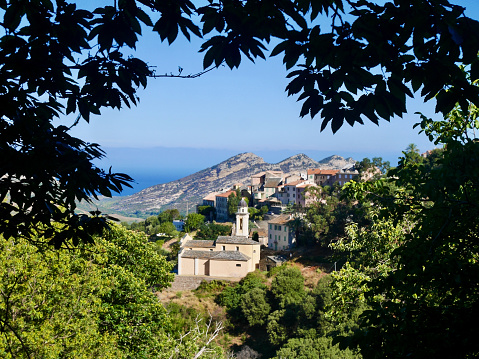 Traditional Corsican stone village Poggio d'Oletta, Nebbio Valley, seen through chestnut leaves.