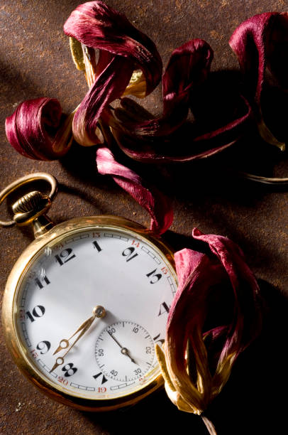 Classic gold pocket watch.