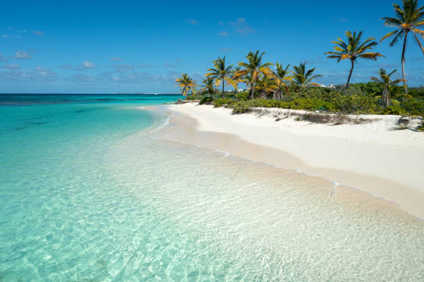 shoal bay aerial - sandbar imagens e fotografias de stock