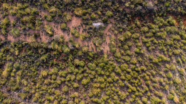 istock aerial views of deserts 1438952298