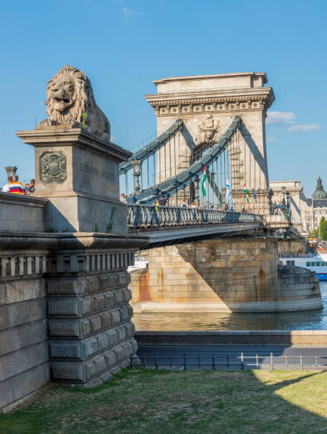 鎖橋のブダペスト、ハンガリー。 - chain bridge budapest bridge lion ストックフォトと画像