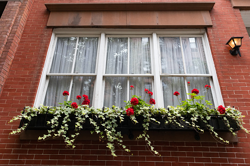 A window outside a beautiful old brick home with a flower box filled with green plants and red flowers in New York City