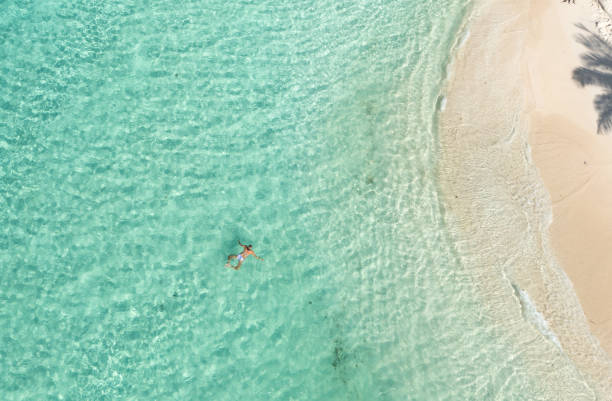 istock Shoal Bay Aerial 1438956114
