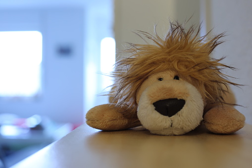 A closeup shot of a brown plush lion toy laying on a wooden surface