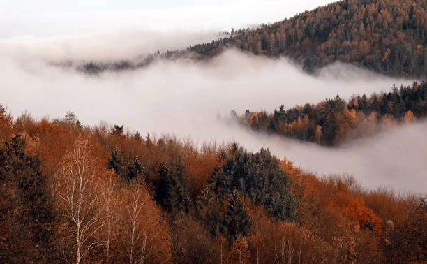 istock Autumn foggy landscape 1438956120
